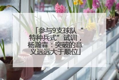 参与9支球队“特种兵式”试训，杨瀚森：突破的意义远远大于顺位