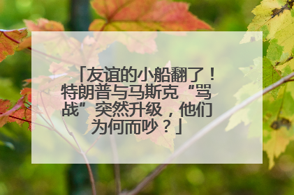 友谊的小船翻了！特朗普与马斯克“骂战”突然升级，他们为何而吵？