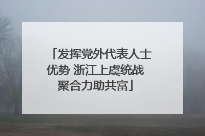 发挥党外代表人士优势 浙江上虞统战聚合力助共富