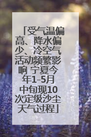 受气温偏高、降水偏少、冷空气活动频繁影响 宁夏今年1-5月中旬现10次定级沙尘天气过程