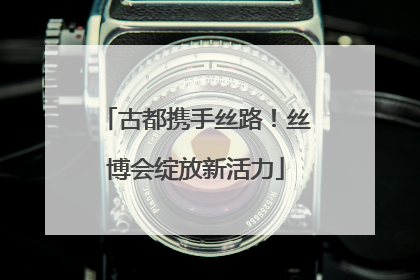 古都携手丝路！丝博会绽放新活力
