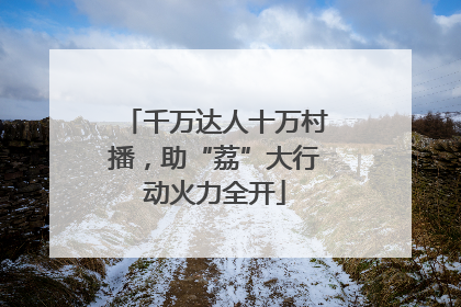 千万达人十万村播，助“荔”大行动火力全开