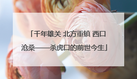 千年雄关 北方重镇 西口沧桑——杀虎口的前世今生