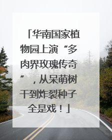 华南国家植物园上演“多肉界玫瑰传奇”，从呆萌树干到炸裂种子全是戏！