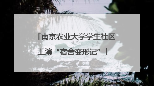 南京农业大学学生社区上演“宿舍变形记”