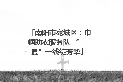 南阳市宛城区：巾帼助农服务队 “三夏”一线绽芳华