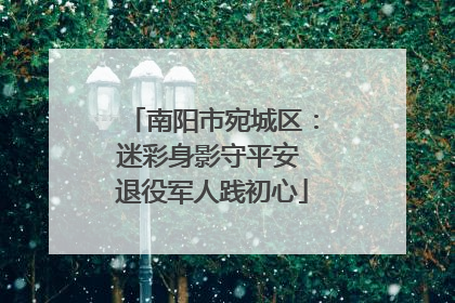 南阳市宛城区：迷彩身影守平安 退役军人践初心