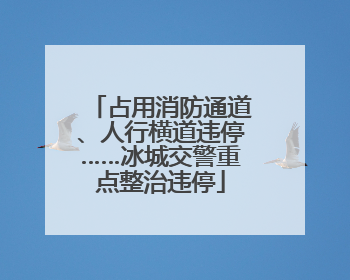 占用消防通道、人行横道违停……冰城交警重点整治违停