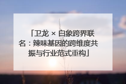 卫龙 × 白象跨界联名：辣味基因的跨维度共振与行业范式重构