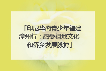 印尼华裔青少年福建漳州行：感受祖地文化和侨乡发展脉搏