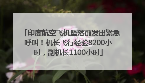 印度航空飞机坠落前发出紧急呼叫！机长飞行经验8200小时，副机长1100小时
