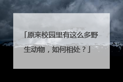 原来校园里有这么多野生动物，如何相处？