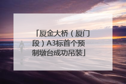 厦金大桥（厦门段）A3标首个预制墩台成功吊装