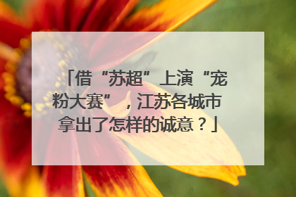 借“苏超”上演“宠粉大赛”，江苏各城市拿出了怎样的诚意？