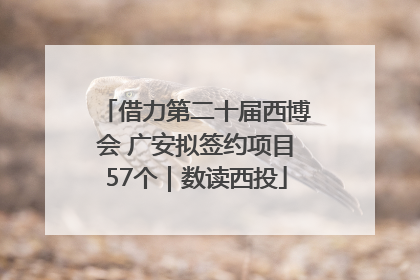 借力第二十届西博会 广安拟签约项目57个｜数读西投