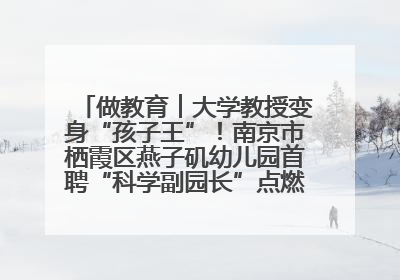 做教育︱大学教授变身“孩子王”！南京市栖霞区燕子矶幼儿园首聘“科学副园长”点燃萌娃科学梦