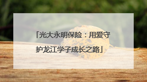 光大永明保险：用爱守护龙江学子成长之路