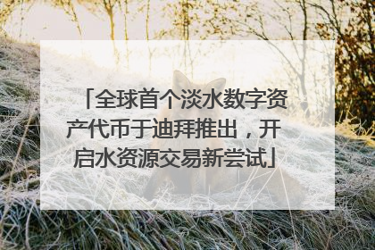 全球首个淡水数字资产代币于迪拜推出，开启水资源交易新尝试