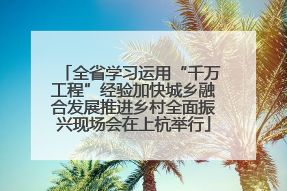 全省学习运用“千万工程”经验加快城乡融合发展推进乡村全面振兴现场会在上杭举行
