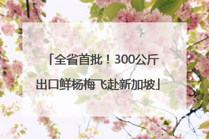 全省首批！300公斤出口鲜杨梅飞赴新加坡