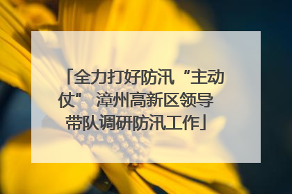 全力打好防汛“主动仗” 漳州高新区领导带队调研防汛工作