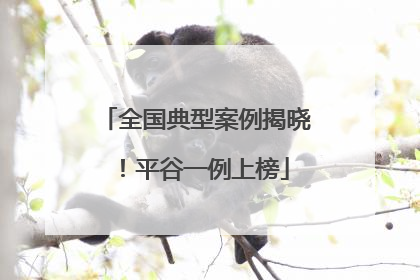 全国典型案例揭晓！平谷一例上榜