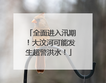 全面进入汛期！大汶河可能发生超警洪水！