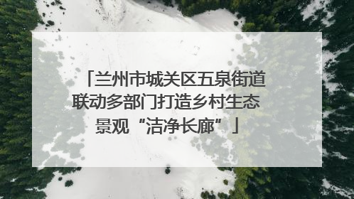 兰州市城关区五泉街道联动多部门打造乡村生态景观“洁净长廊”
