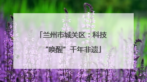 兰州市城关区：科技“唤醒”千年非遗