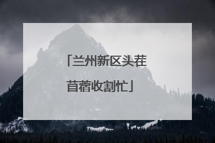 兰州新区头茬苜蓿收割忙