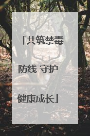 共筑禁毒防线 守护健康成长