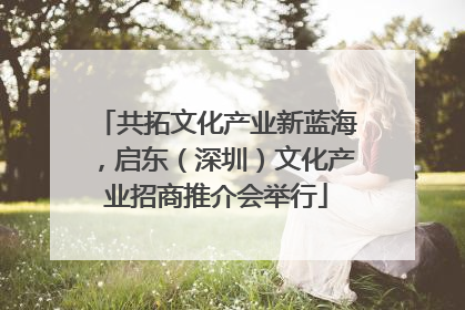 共拓文化产业新蓝海，启东（深圳）文化产业招商推介会举行