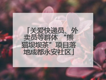关爱快递员、外卖员等群体 “熊猫坝坝茶”项目落地成都永安社区