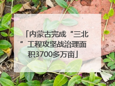内蒙古完成“三北”工程攻坚战治理面积3700多万亩