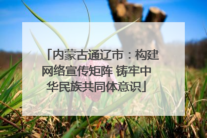内蒙古通辽市：构建网络宣传矩阵 铸牢中华民族共同体意识