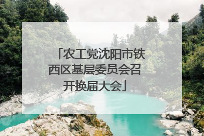 农工党沈阳市铁西区基层委员会召开换届大会