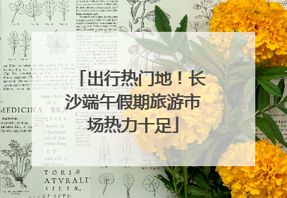 出行热门地！长沙端午假期旅游市场热力十足