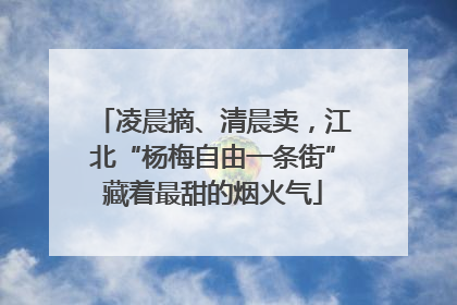 凌晨摘、清晨卖，江北“杨梅自由一条街”藏着最甜的烟火气
