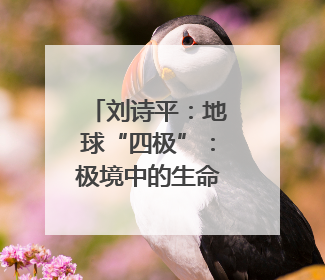 刘诗平：地球“四极”：极境中的生命｜新华走笔