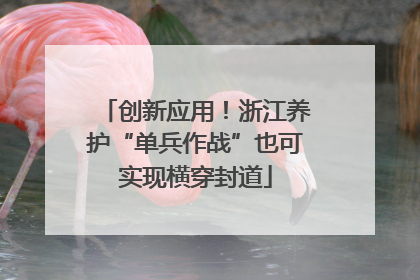 创新应用！浙江养护“单兵作战”也可实现横穿封道