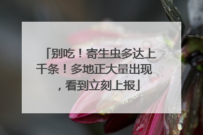 别吃！寄生虫多达上千条！多地正大量出现，看到立刻上报