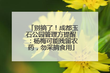 别摘了！成都玉石公园管理方提醒：杨梅可能残留农药，勿采摘食用