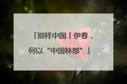 别样中国丨伊春，何以“中国林都”