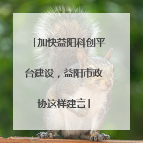 加快益阳科创平台建设，益阳市政协这样建言