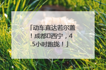 动车直达若尔盖！成都⇄西宁，4.5小时跑拢！