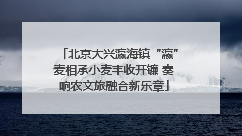 北京大兴瀛海镇“瀛”麦相承小麦丰收开镰 奏响农文旅融合新乐章