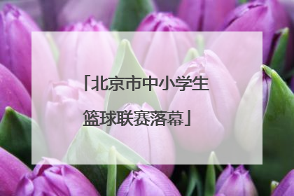 北京市中小学生篮球联赛落幕