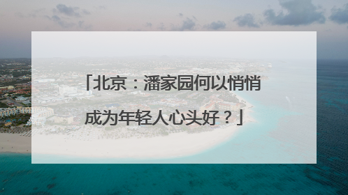 北京：潘家园何以悄悄成为年轻人心头好？