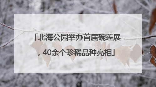 北海公园举办首届碗莲展，40余个珍稀品种亮相