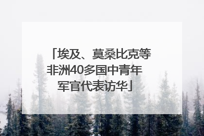埃及、莫桑比克等非洲40多国中青年军官代表访华